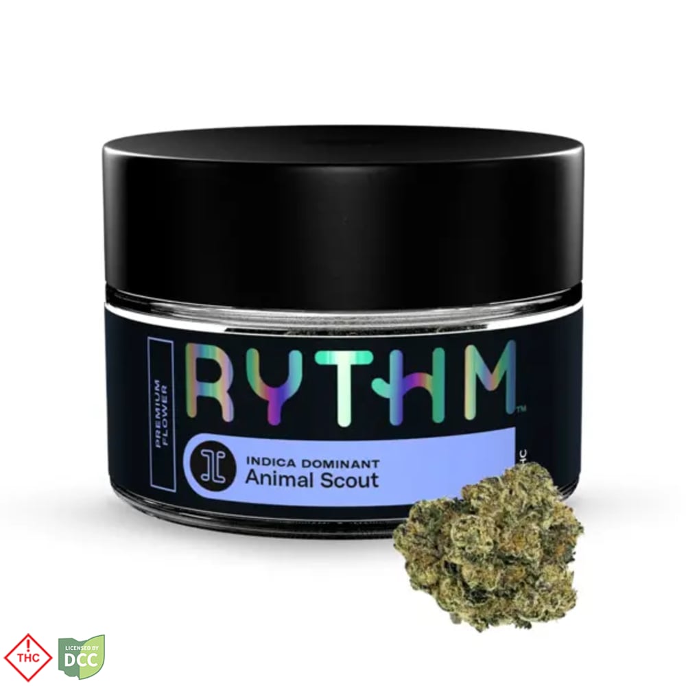 Rythm - Animal Scout -
