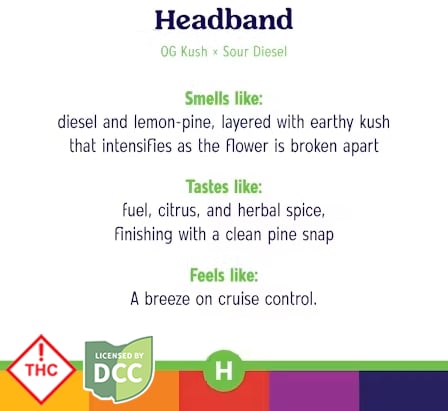 R.O. - Headband -
