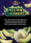 Image 2 for Melon Sherbert [1g], a hybrid product