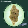 Image 1 for Moon Beam Gelato, a hybrid product