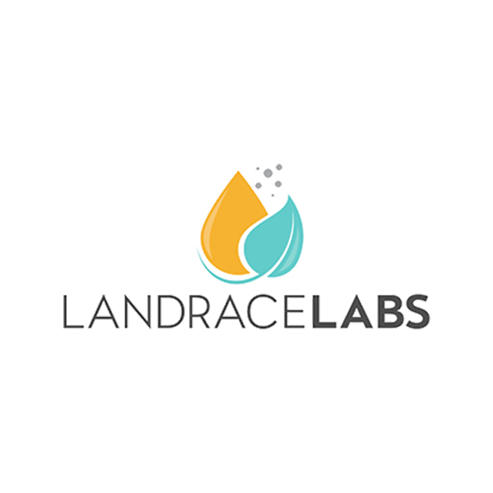 Jack Herer by Landrace Labs