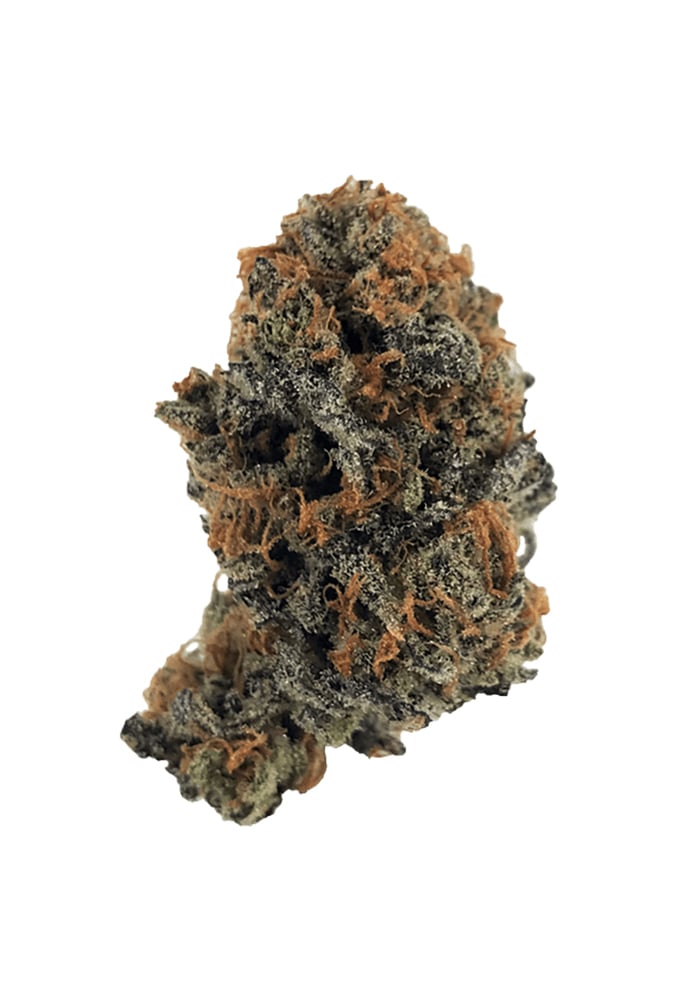 9 Pound Hammer by OMM