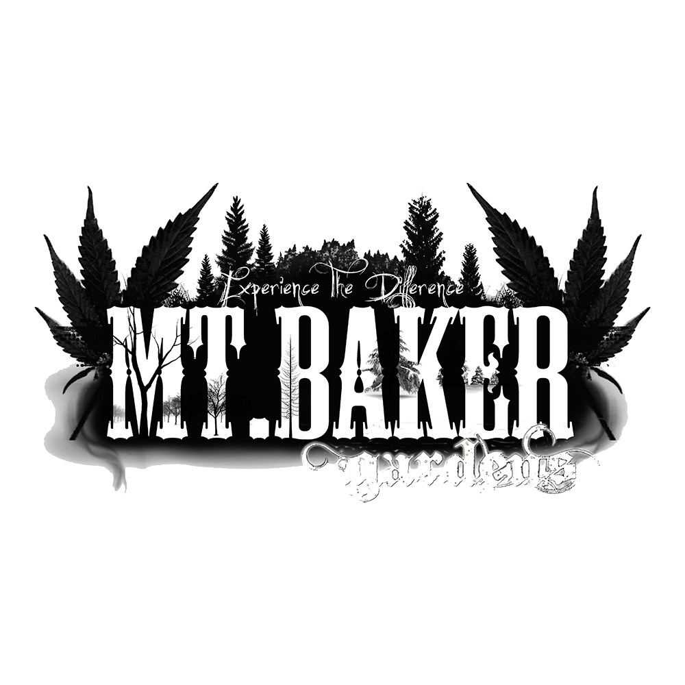 Upside Down Cake by Mt. Baker Gardens