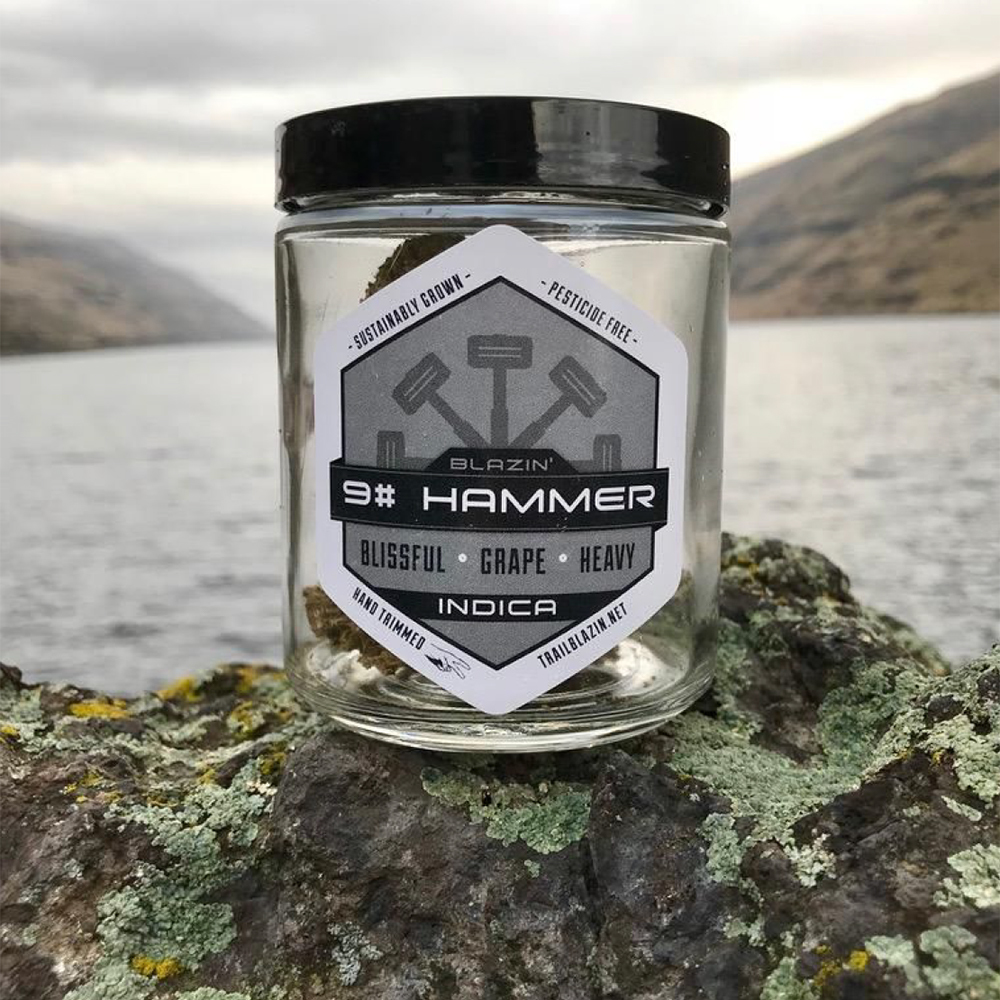 9 Pound Hammer by Trail Blazin' Productions