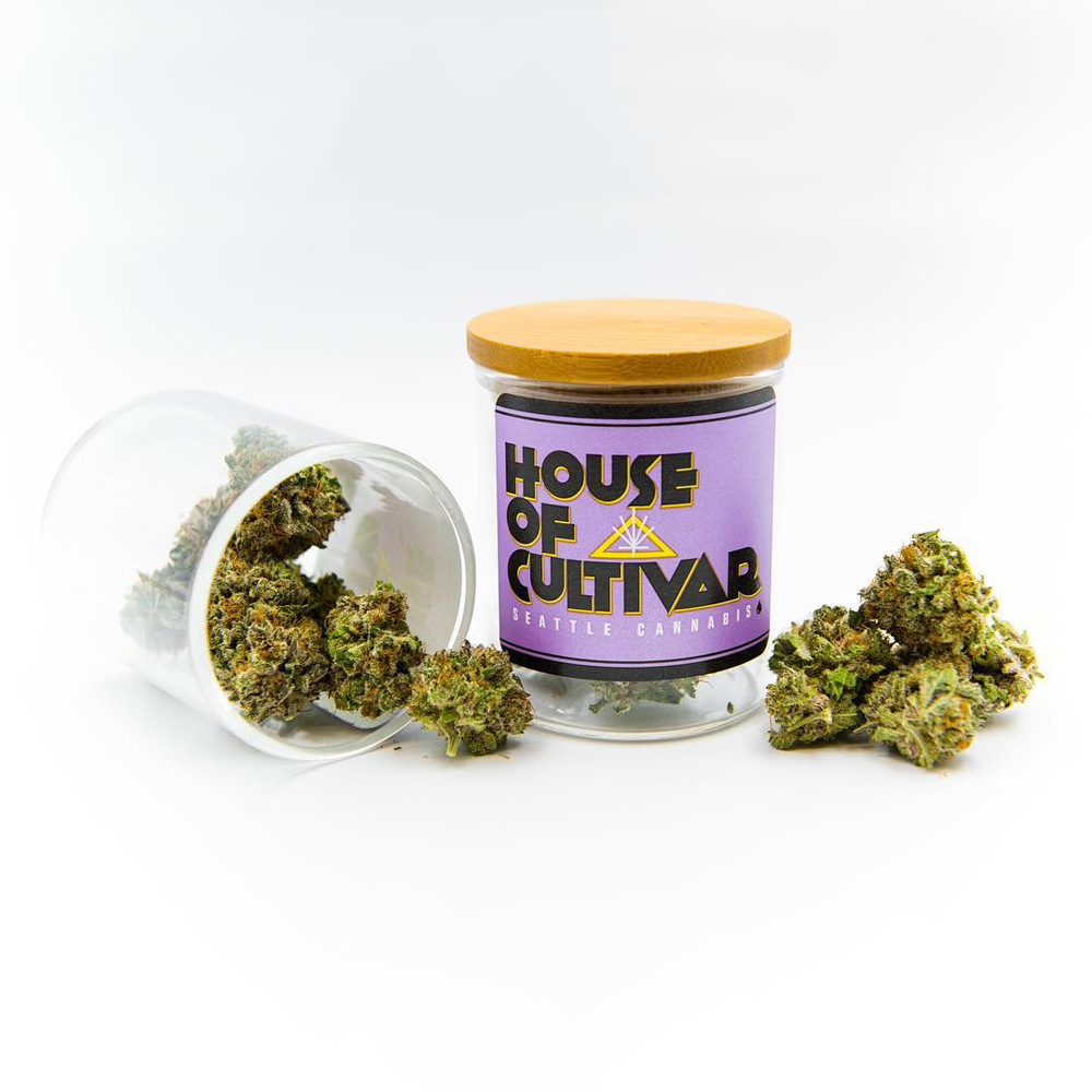New Glue by House of Cultivar