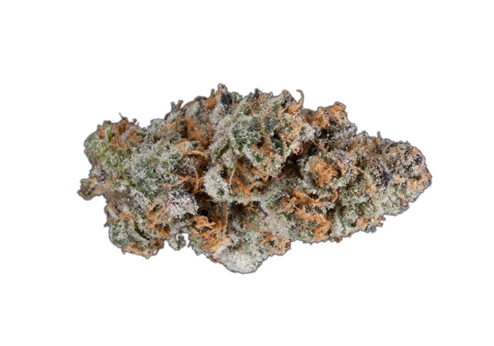 9 Pound Hammer by Unbranded