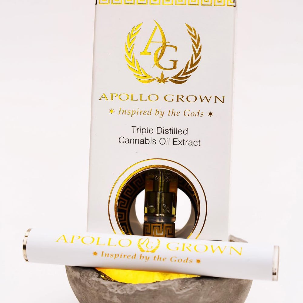 Key Lime Pie by Apollo Grown