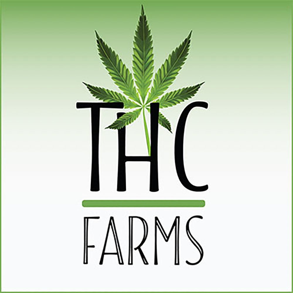 Yellow Gum by THC Farms