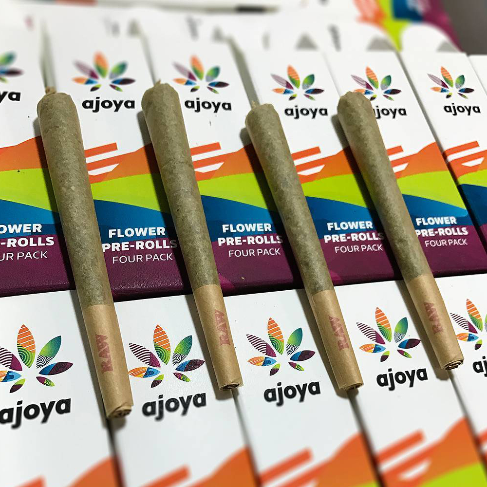 Yellow Gum [.7g] by Ajoya