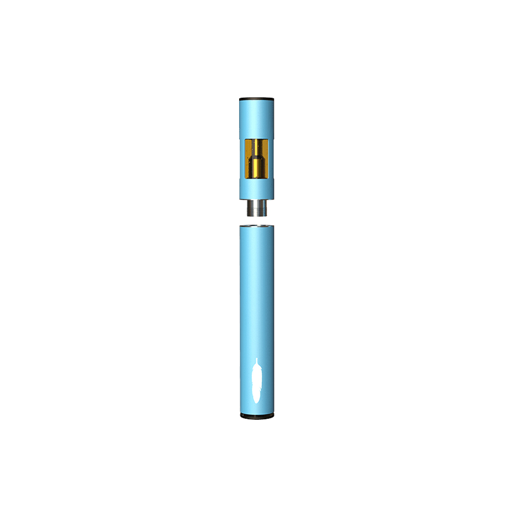 Chill Blueberry [300mg] by Feather