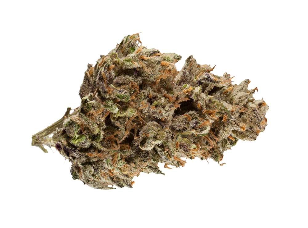9 Pound Hammer by Raging Goat