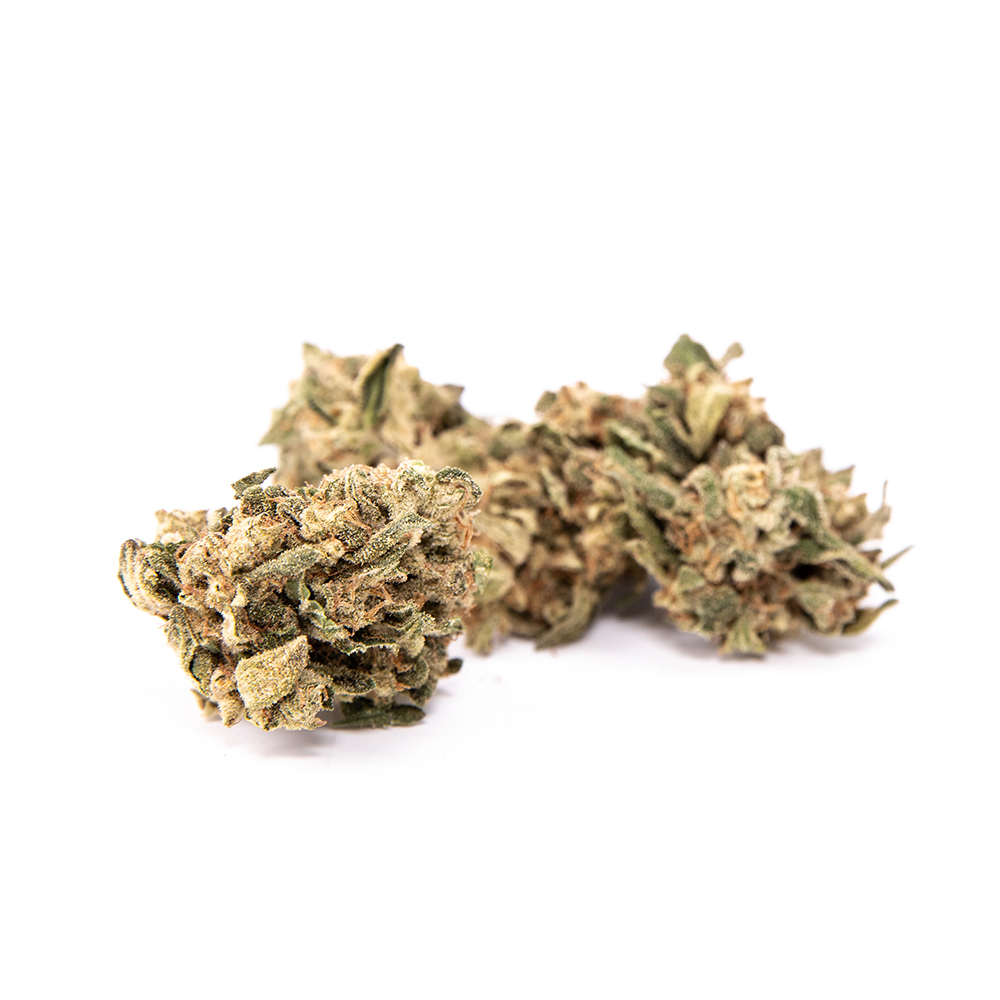 14er Special by Maggie's Farm