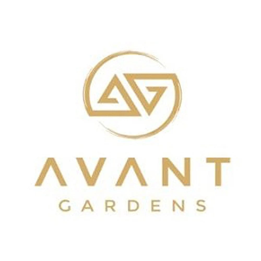 Amnesia Haze by Avant Gardens