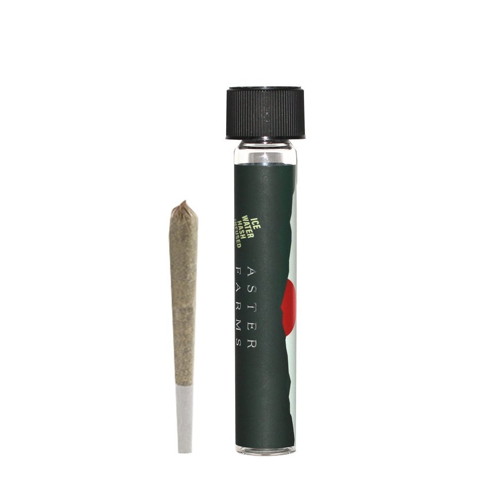 Burmese Kush x Strawnana [1g] Aster Farms Hash Infused Pre Roll Jane