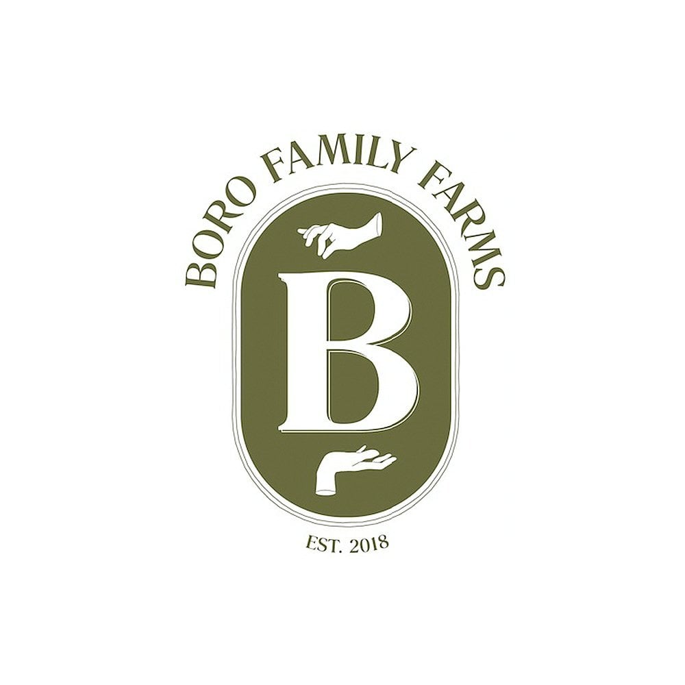 Apple Fritter by Boro Family Farms