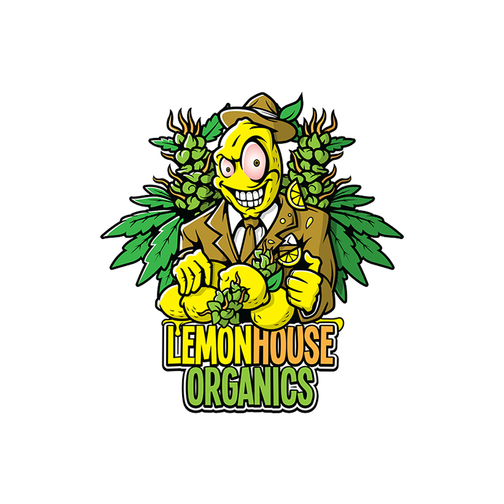 Vanilla Sky by Lemon House Organics