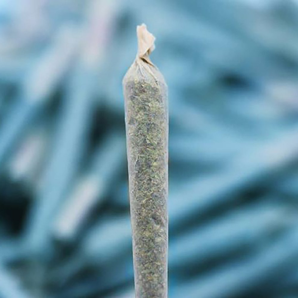 Vanilla Treat [1g] by MMG
