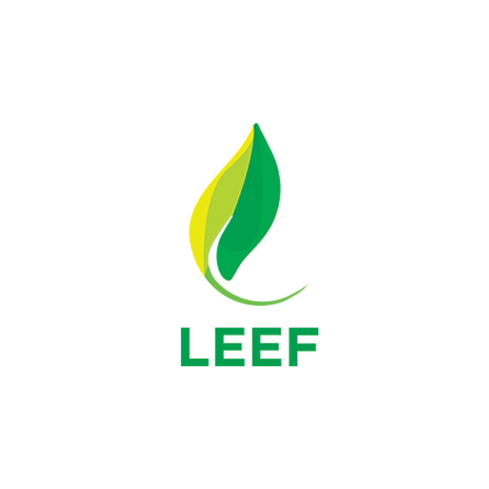 Z3 by LEEF