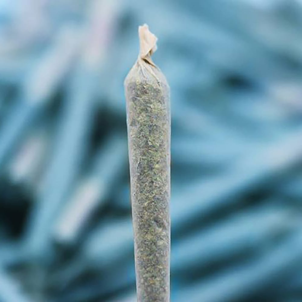 Vanilla Cake [1g] by MMG