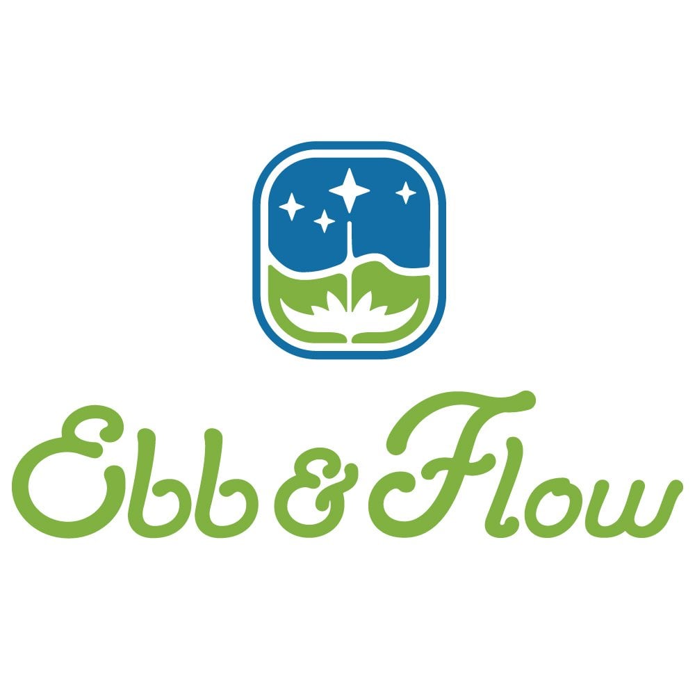 Quantum Fields by Ebb & Flow