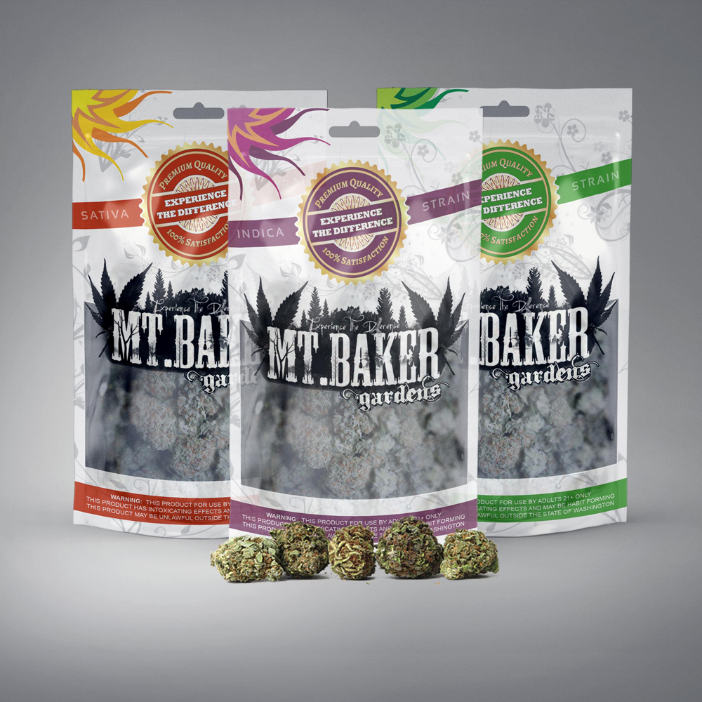 Vanilla Bean by Mt. Baker Gardens