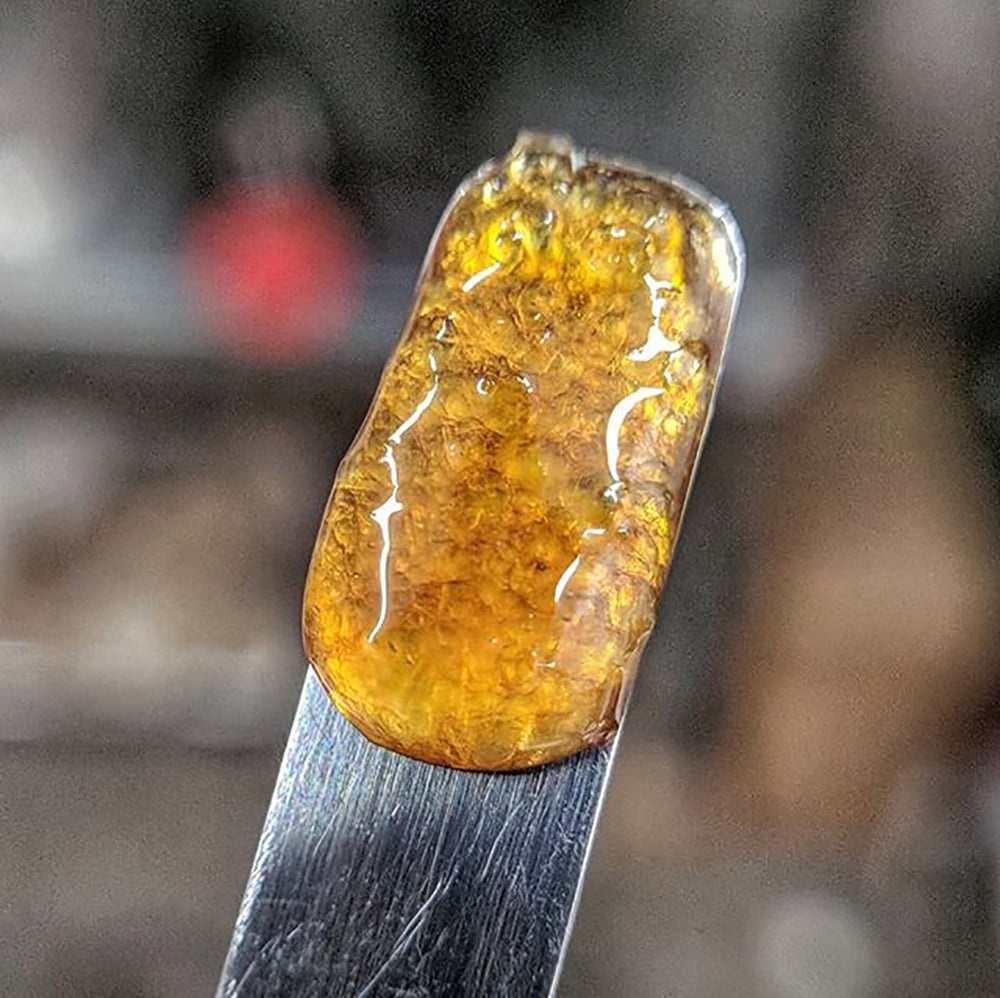 Yuzu ZKZ by Focus Concentrates