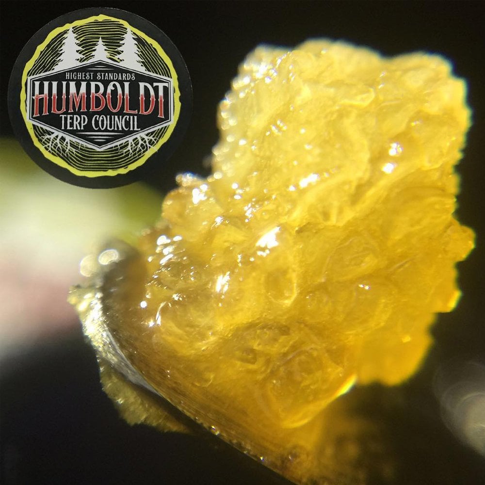 Z x Georgia Pie by Humboldt Terp Council