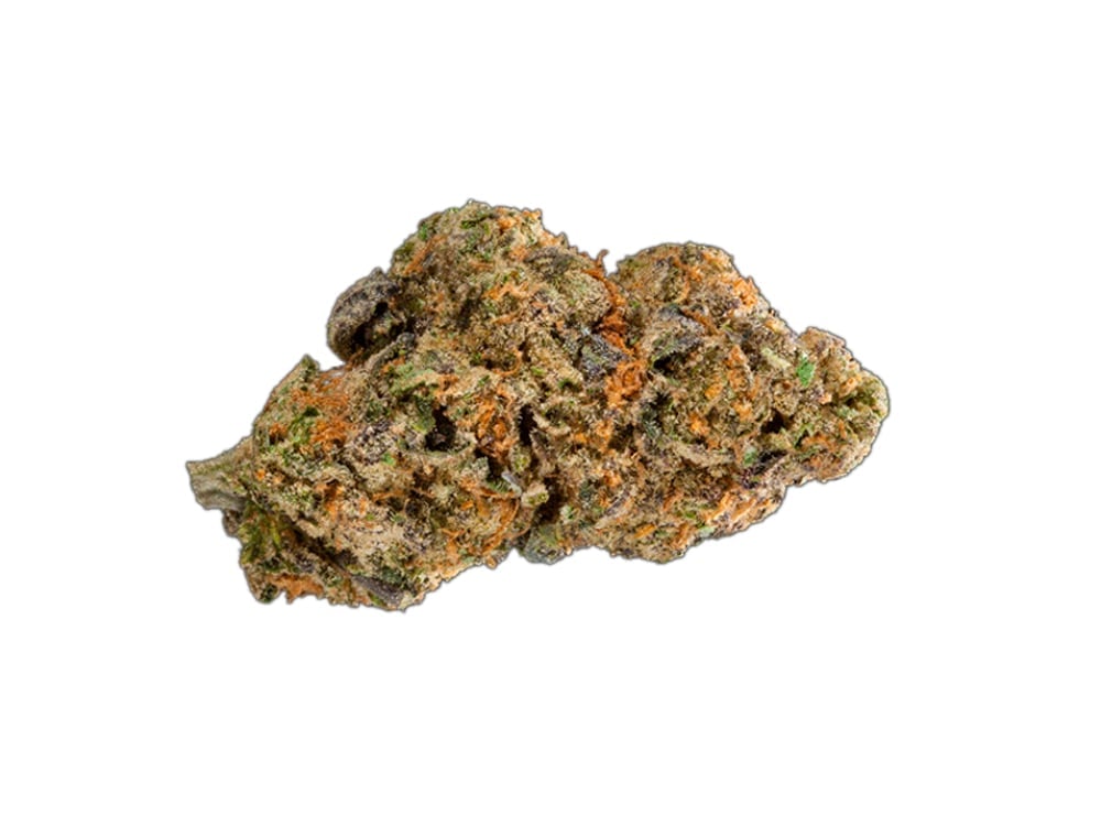 Animal Cookies by Emerald Growing