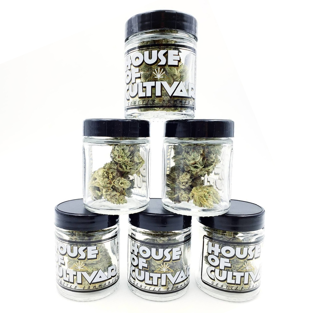 Valencia by House of Cultivar