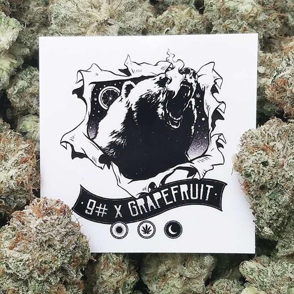 9 Pound Grapefruit by Clandestine Gardens