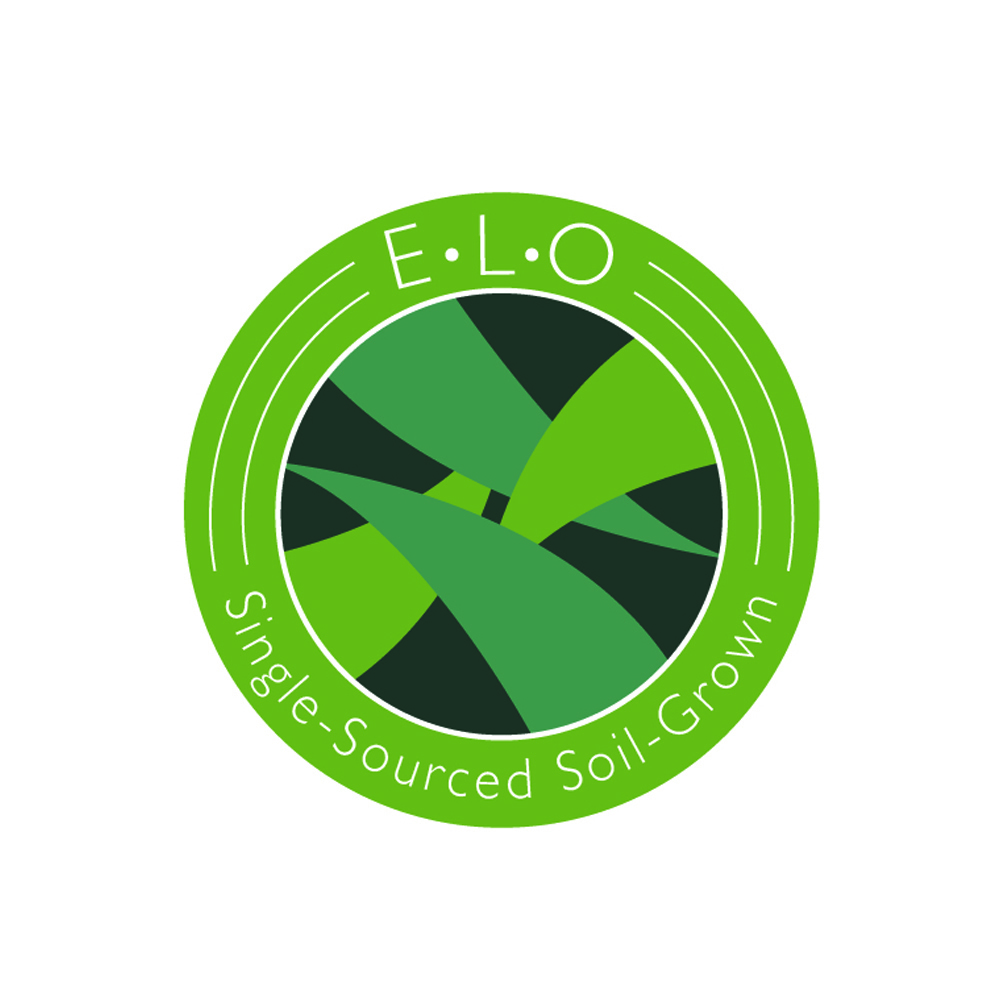 ChemD x I95 #32 by ELO