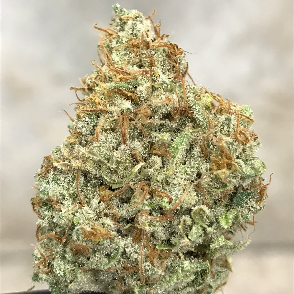Afghan Ooey Gooey by Three Finger Farm