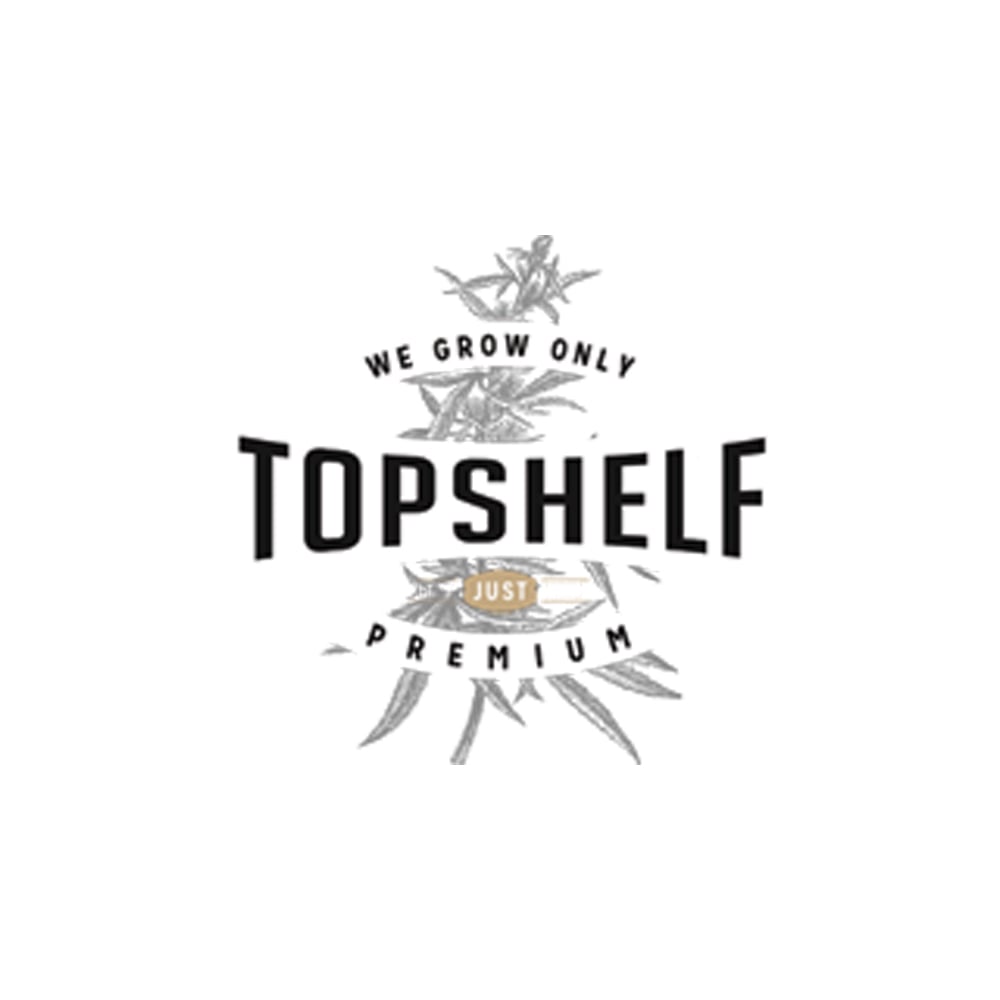 337 Queen by Top Shelf
