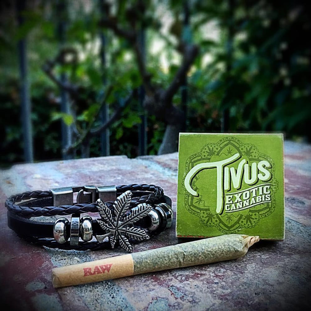 Dream Queen [1g] by Tivus