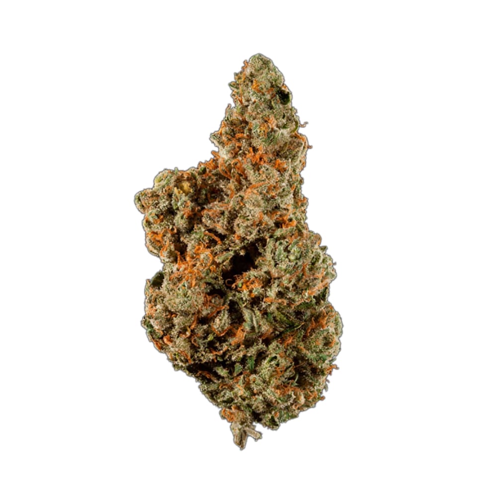 Black Jack by Creme Genetics
