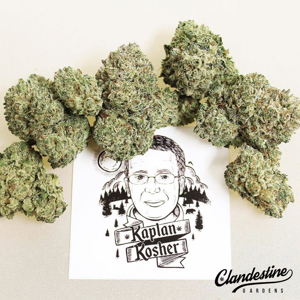 Kaplan Kosher by Clandestine Gardens