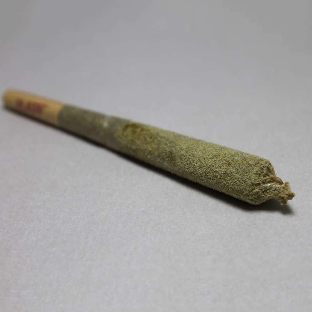 Avi x Canna by Rogue Raven Farms