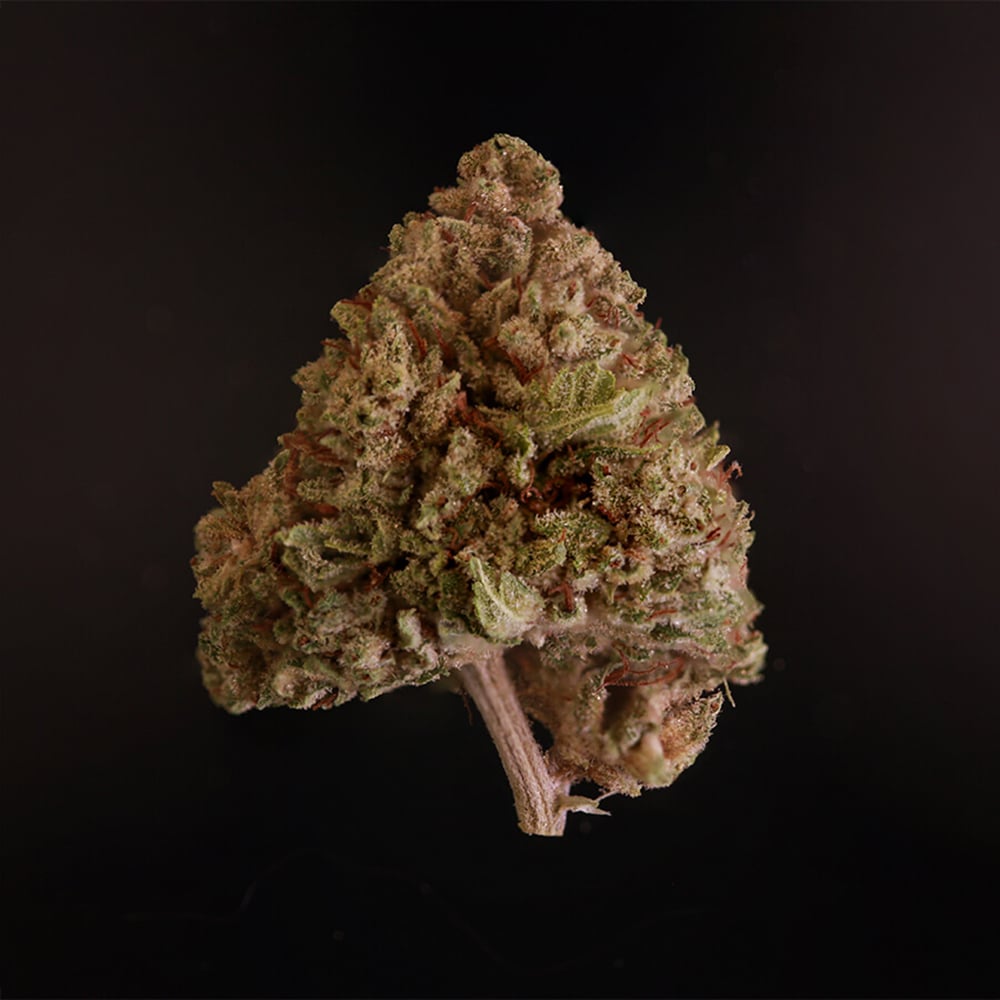 Yeti OG by Emerald Family Farms