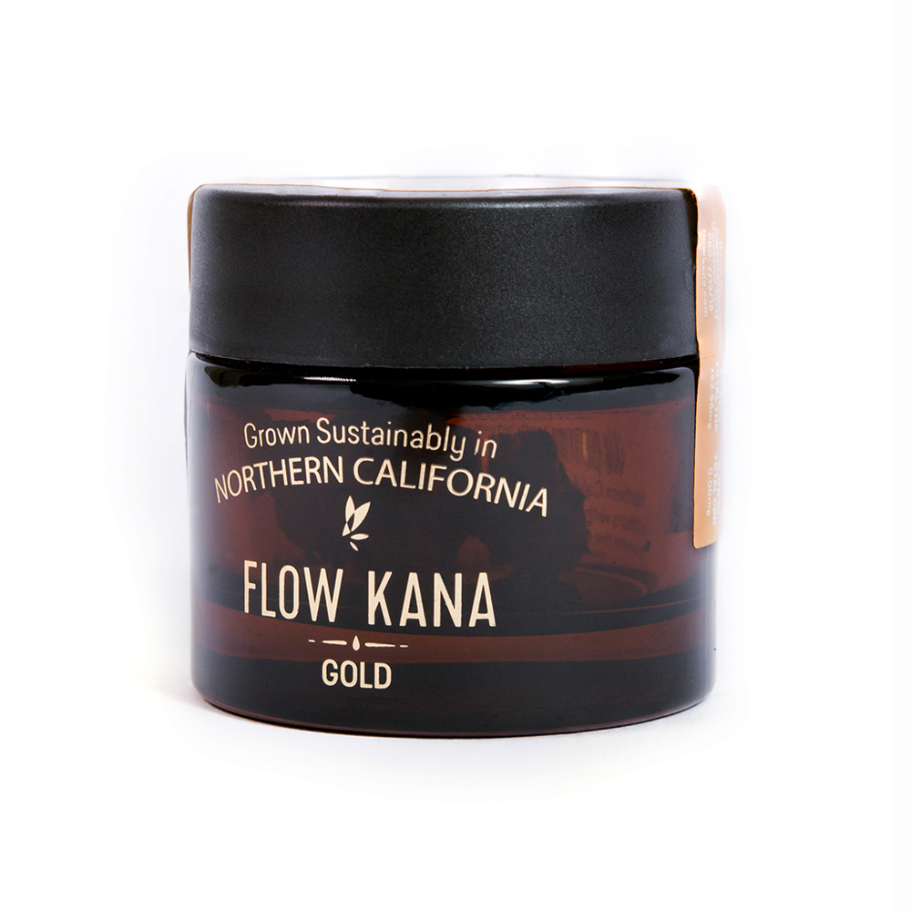 Yoga For All Movement by Flow Kana
