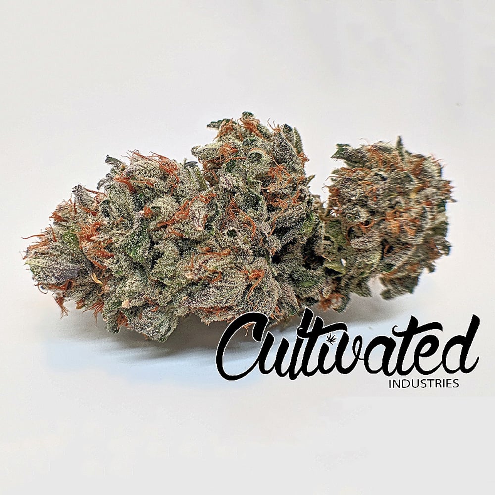 Apple Fritter by Cultivated Industries