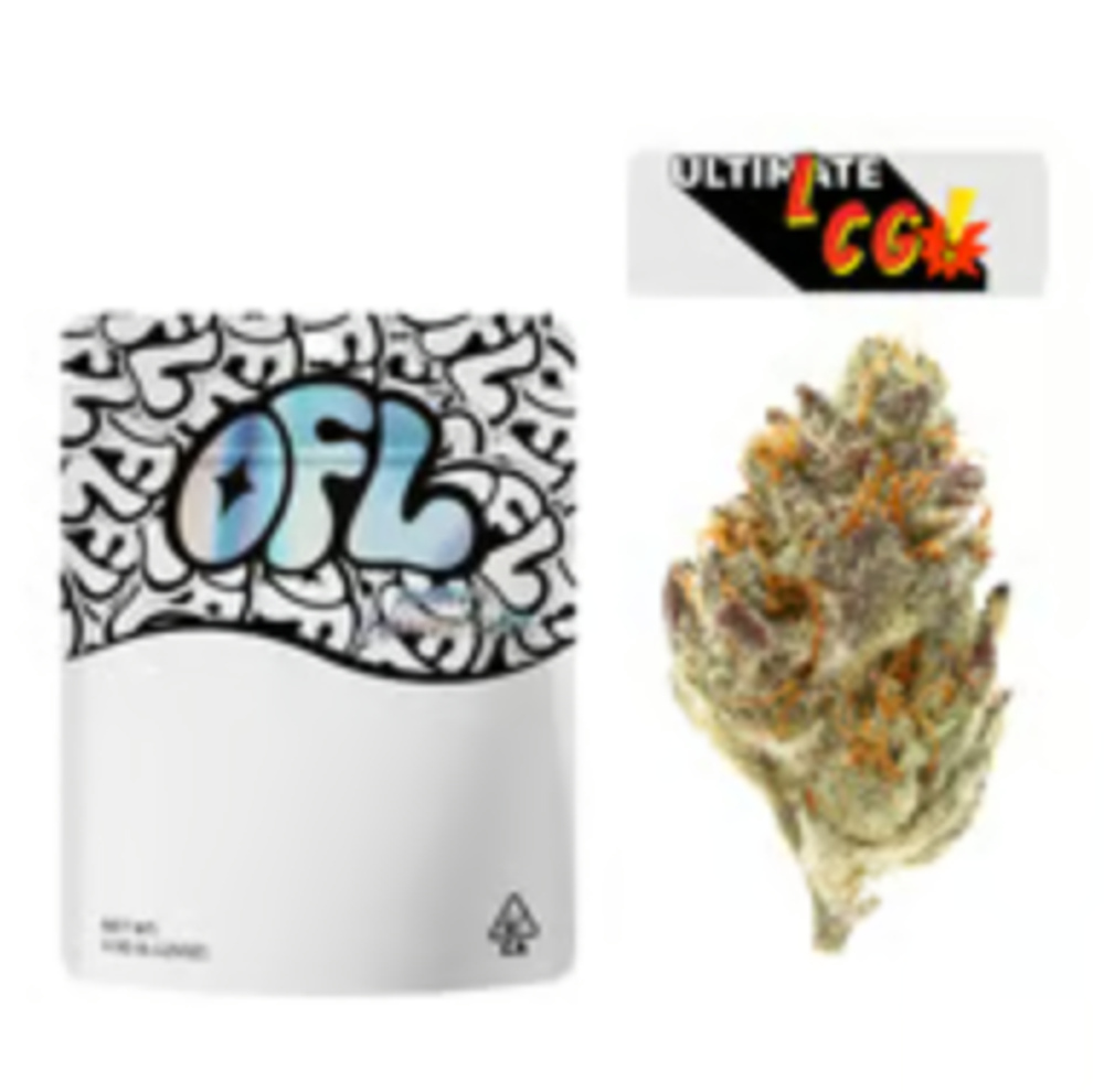 GG#4