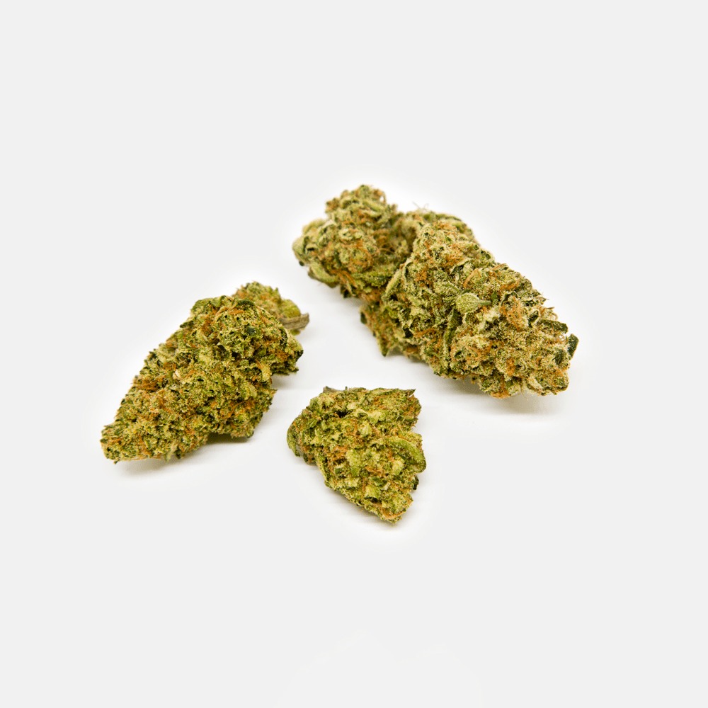 9 Pound Hammer by Core Gardens