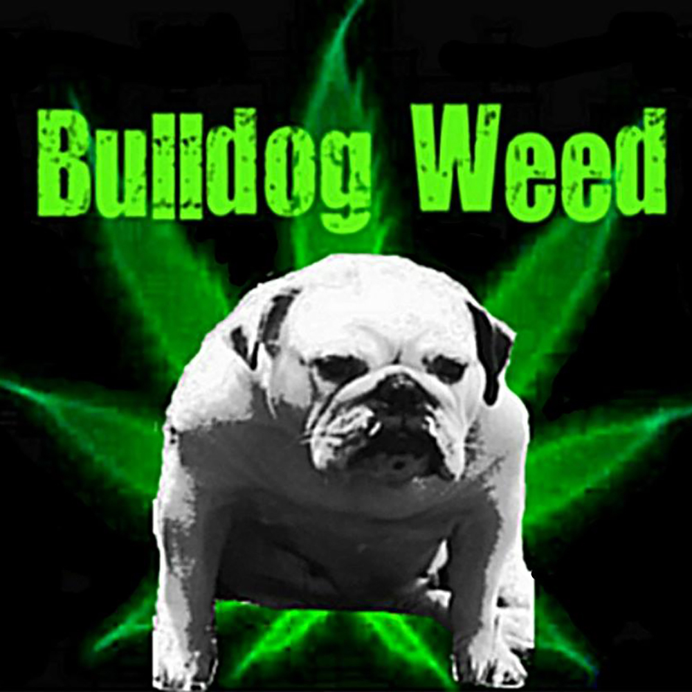 K-Smores by Bulldog Weed