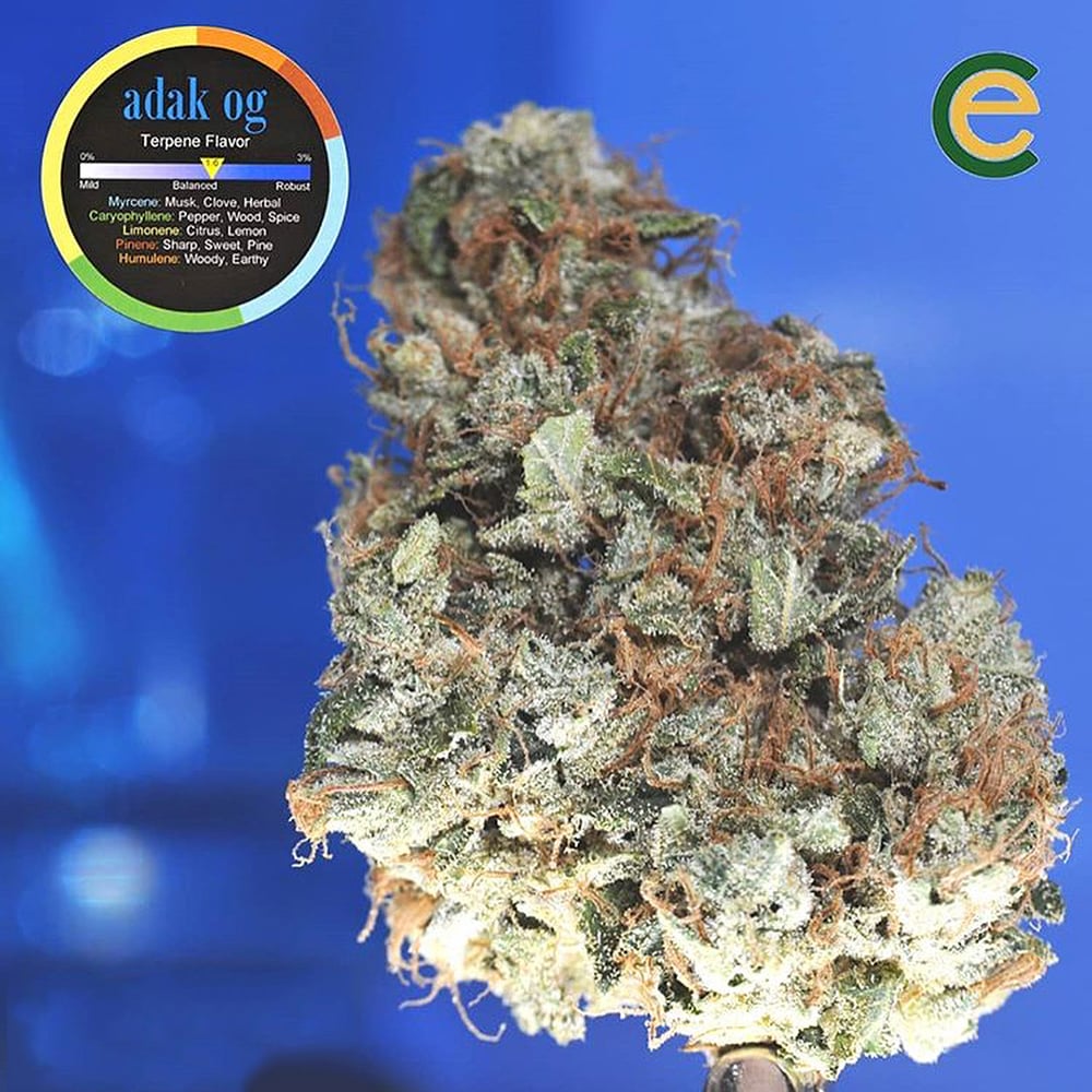 Baby Yoda by Empyreal Cannabis
