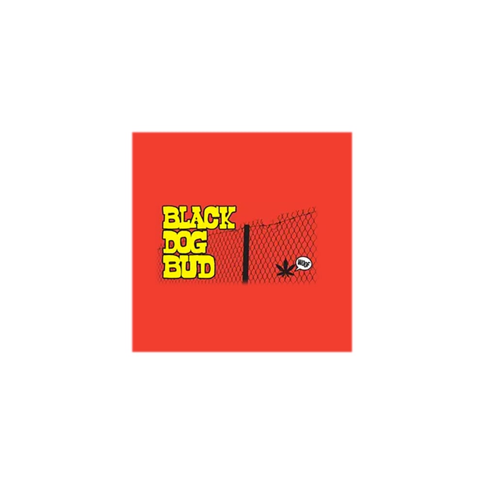 Yellow Gum [1g] by Black Dog Bud