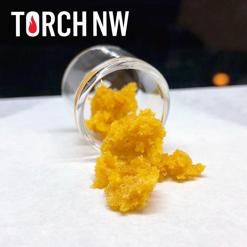 9lb Hammer x Blue Dream by Torch NW