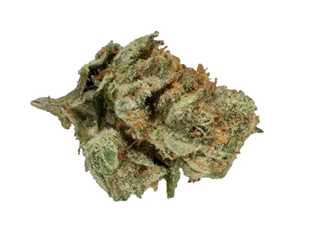 Apple Cider by Farm Science