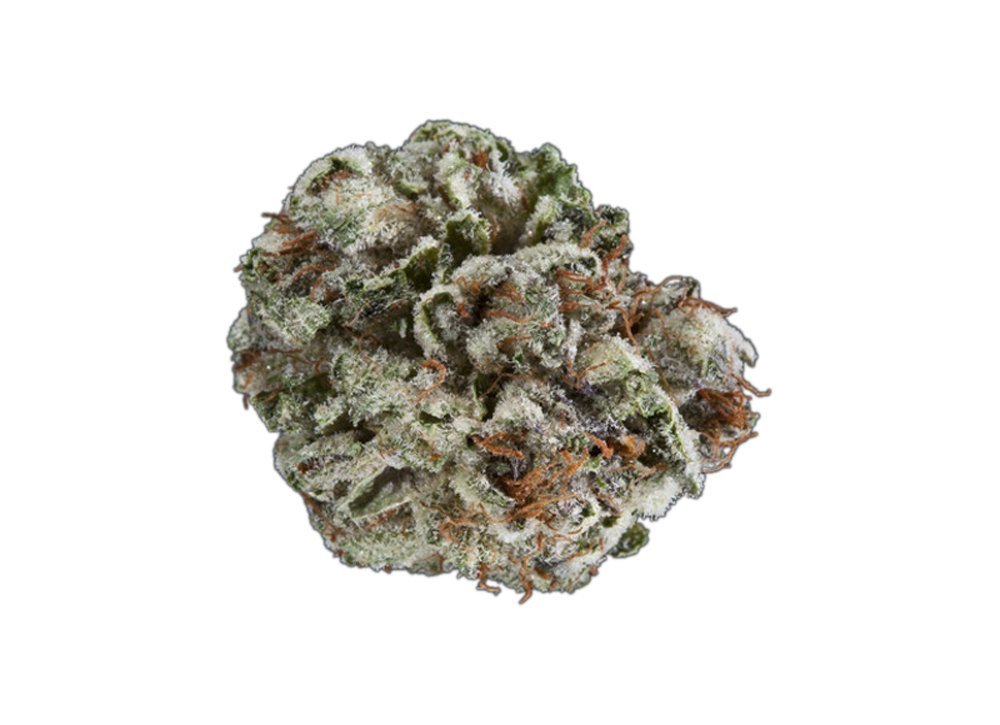 Kandy Kush by Devotion Cannabis