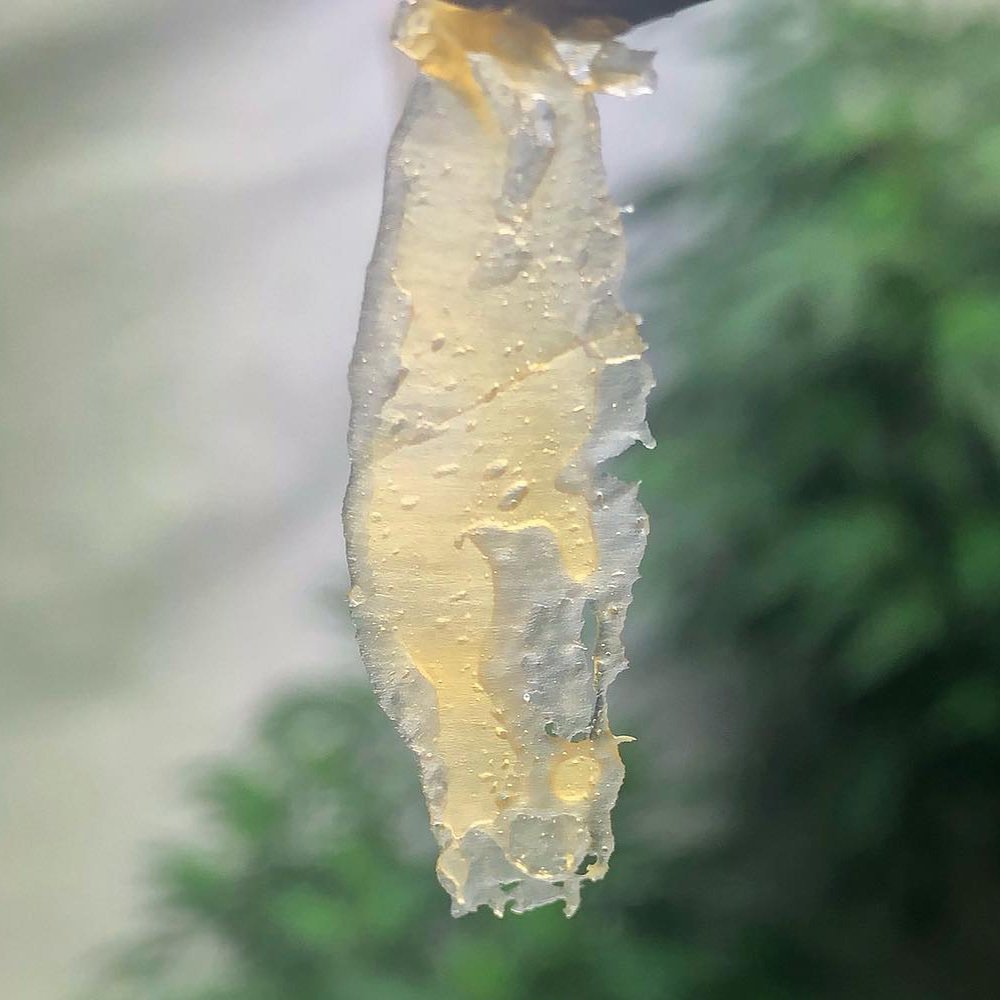 G13 by Cold Creek Extracts