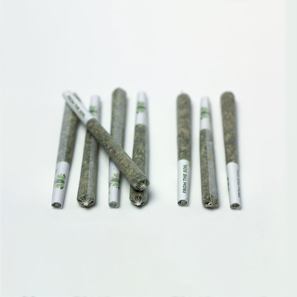 Apple Fritter (Lemon Amnesia) [.75g] by From The Soil